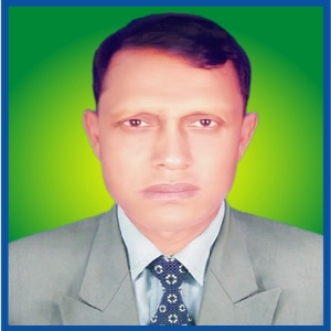 মোঃ বোরহান উদ্দিন